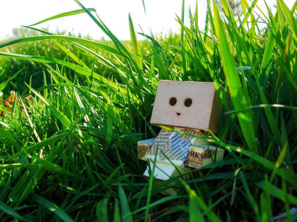 Small Cardboard Man  is resting among the grass
