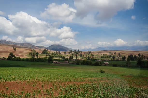 istock Farming fields near Cuzco in Peru, the andes Range 1035115280