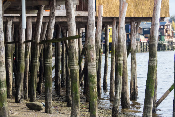 Lake Constance in Unteruhldingen with the pile dwellings.