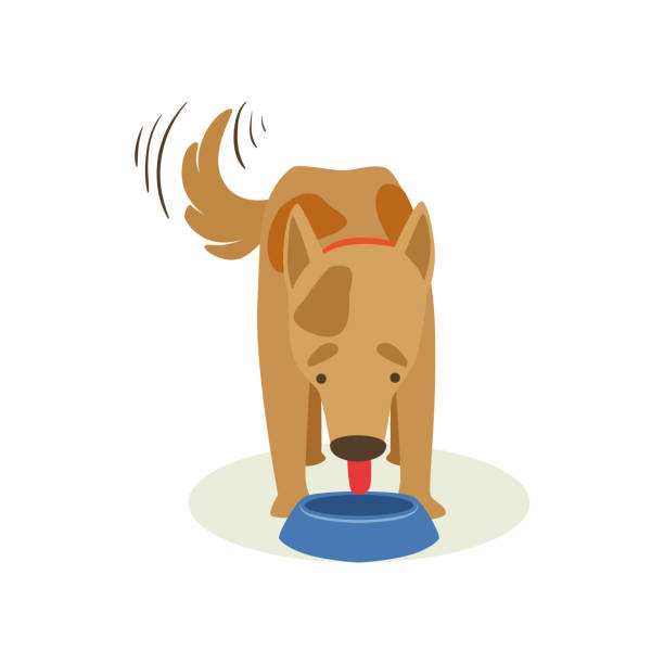 Brown Pet Dog Eating Food Animal Emotion Cartoon Illustration Stock  Illustration - Download Image Now - iStock