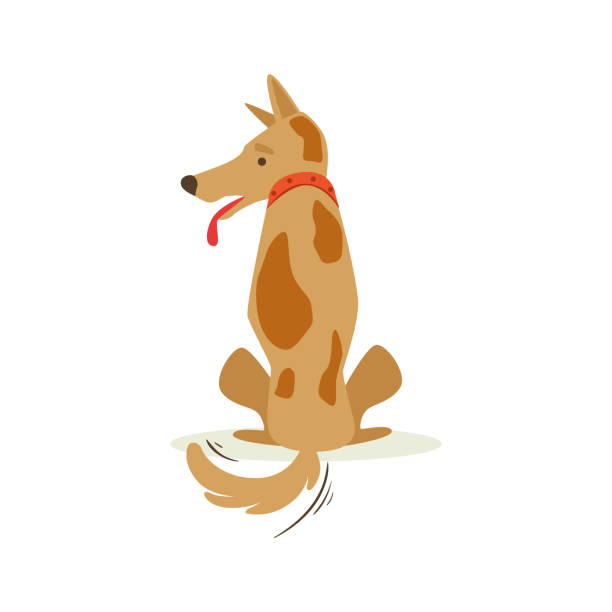 brauner hund drehte seine rückseite schmollt, tierische emotion cartoon illustration - animal sitting brown dog stock-grafiken, -clipart, -cartoons und -symbole