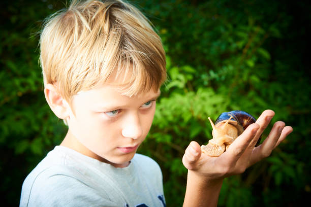 istock Child boy looking at giant snail on palm. 1035127024
