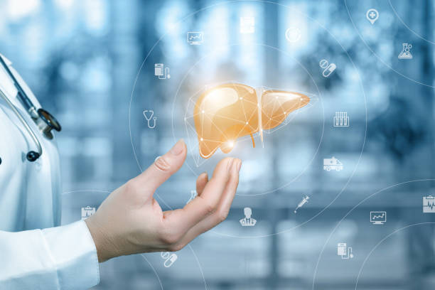 istock Medical worker shows the liver . 1035127618