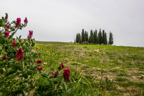 istock sunrise on the hills in Tuscany 1035131976