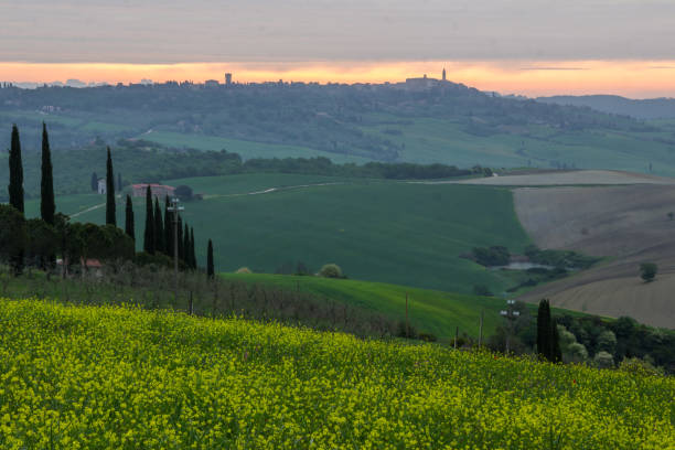 istock sunrise on the hills in Tuscany 1035133264