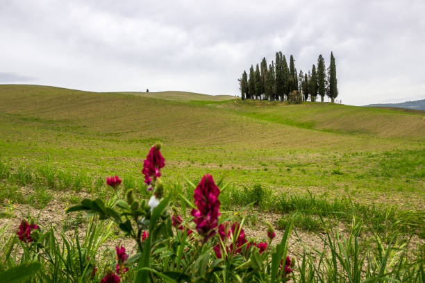 sunrise on the hills in Tuscany