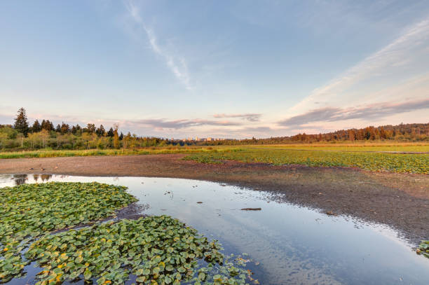 lake with shallow water at sunset