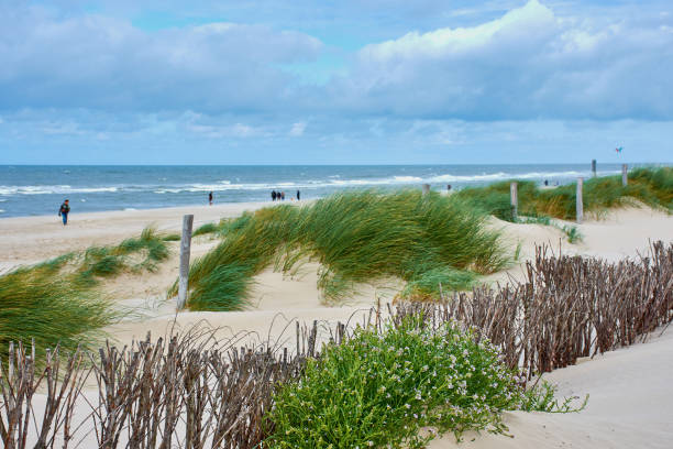 istock Beach at the surf and kite spot in Petten 1035144036