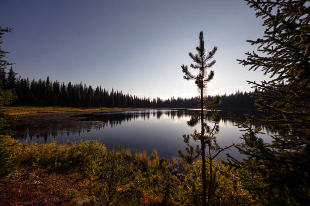 istock Lake in the backcountry 1035152910