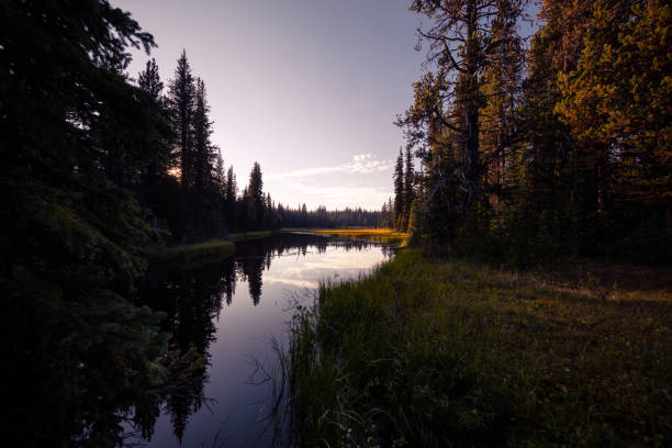 istock Lake in the backcountry 1035153272