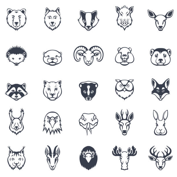 野生動物の顔のアイコンを設定 - moose head点のイラスト素材／クリップアート素材／マンガ素材／アイコン素材