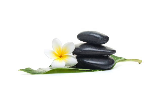 istock spa wellness set for therapy on white background. 1035154134