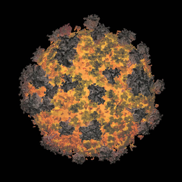 molekülmodell von einem humanen immundefizienz-virustyp 1 (hiv-1) auf schwarzem hintergrund isoliert - immunodeficiency stock-fotos und bilder