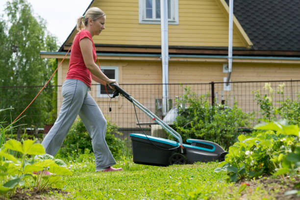 istock outdoor worker mowing the lawn 1035154224