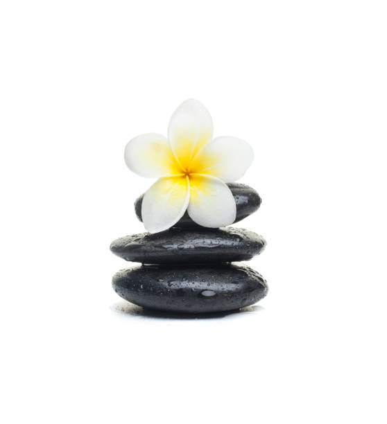 istock Tropical yellow flower and stones on white background. 1035154226