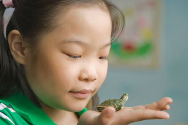 istock Chinese girl at school 1035165572