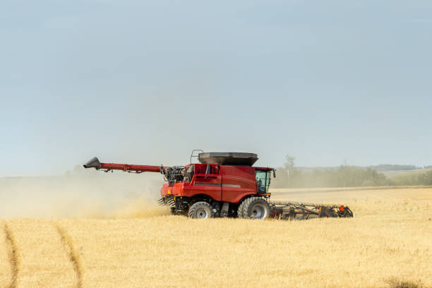 istock red combine combining the golden wheat field  in the fall 1035174606