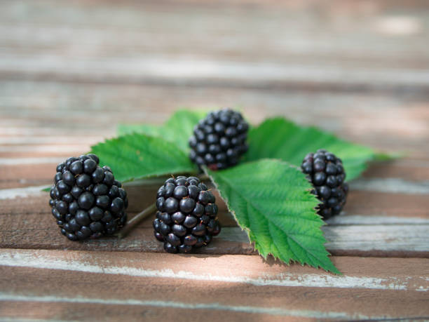 istock A few blackberries lying on the wooden table. 1035184308