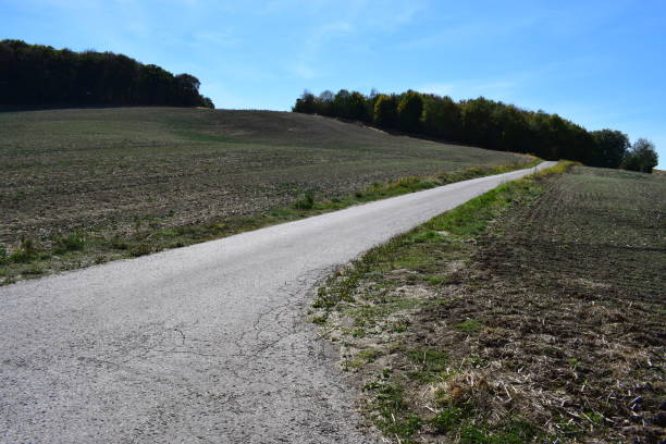 istock autumn landscape in Eifel region 1035184374