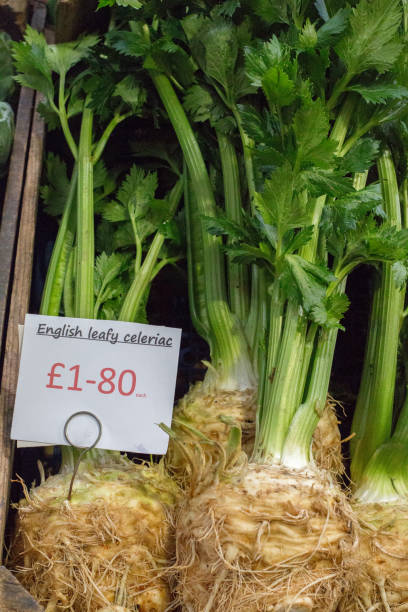 istock Celeriac in Borough Market, London 1035185498