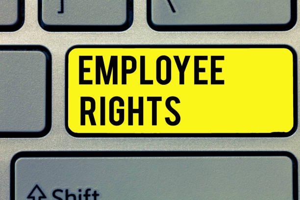 istock Text sign showing Employee Rights. Conceptual photo All employees have basic rights in their own workplace 1035189182