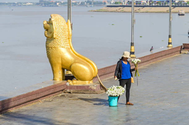 preah sisowath quay a phnom penh con la statua del leone custode e una donna che vende fiori di loto - flood people asia cambodia foto e immagini stock
