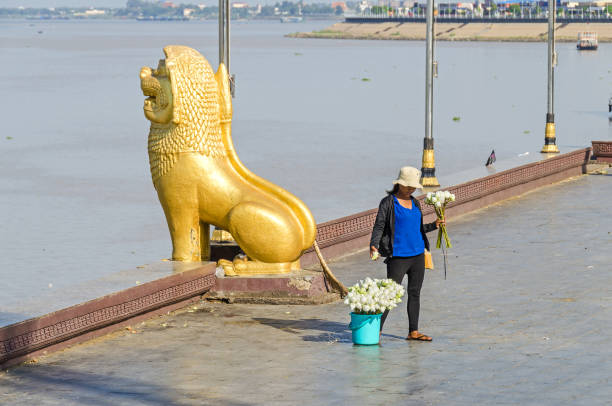 preah sisowath quay, em phnom penh com a estátua do leão guardião e uma mulher vendendo flores de lótus - flood people asia cambodia - fotografias e filmes do acervo