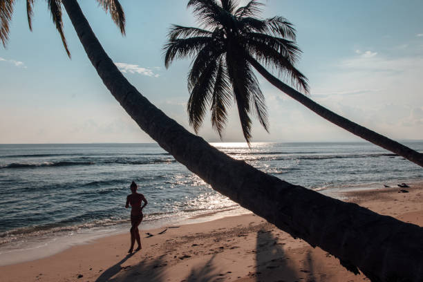 istock Woman walking on palm tree beach 1035194824