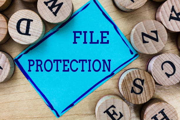 istock Word writing text File Protection. Business concept for Preventing accidental erasing of data using storage medium 1035198606