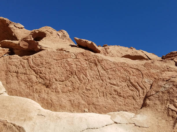 istock Atacama Desert, Chile, August, 2018 1035202350