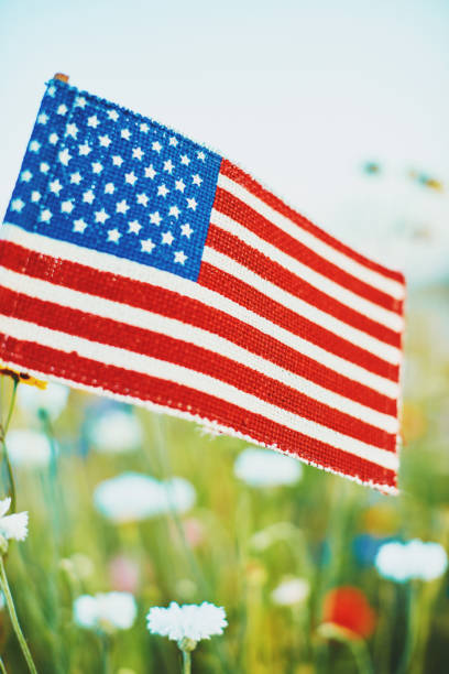 istock Wildflowers with American flag 1035204604