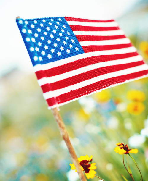 istock Wildflowers with American flag 1035204620