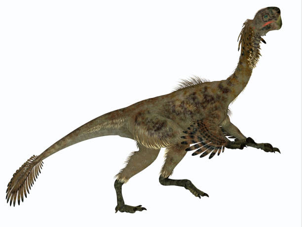 istock Citipati Female Dinosaur Side Profile 1035205528