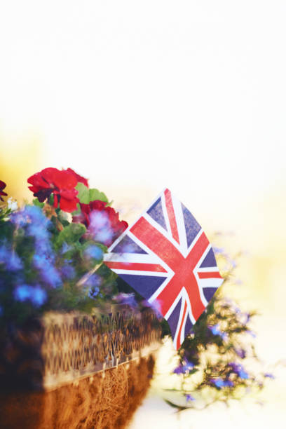istock Defocused Union Jack flag with back lit flowers in window box 1035207586