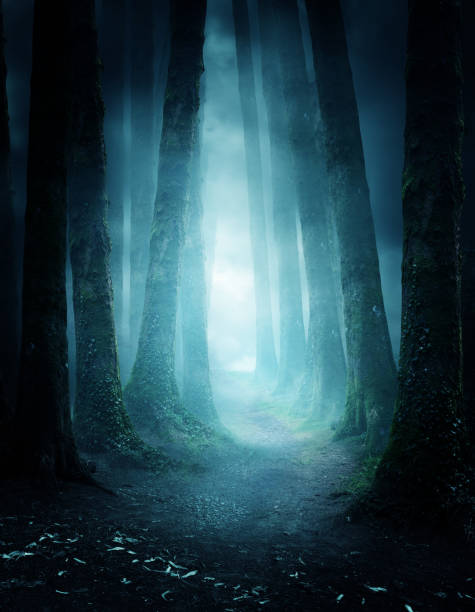 geheimnisvolle waldweg - forest dark woods spooky stock-fotos und bilder