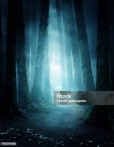 Geheimnisvolle Waldweg Stockfoto und mehr Bilder von Wald - Wald, Dunkel, Spuk