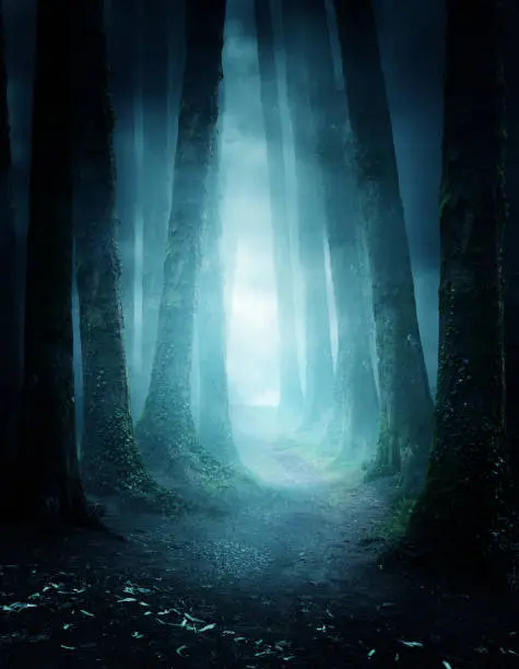 A dark and moody forest at night with a pathway leading through it. Photo composite.