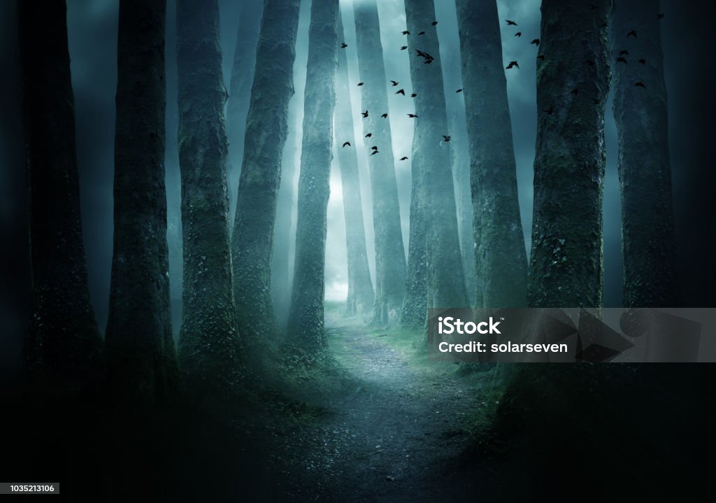 暗い森の中の経路 - 森林のロイヤリティフリーストックフォト