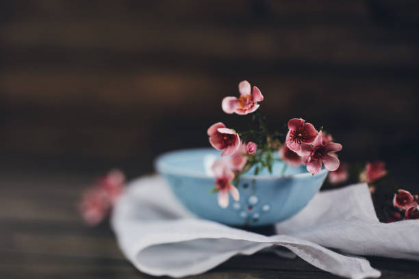 istock Pale blue bowl with blossoms 1035213670