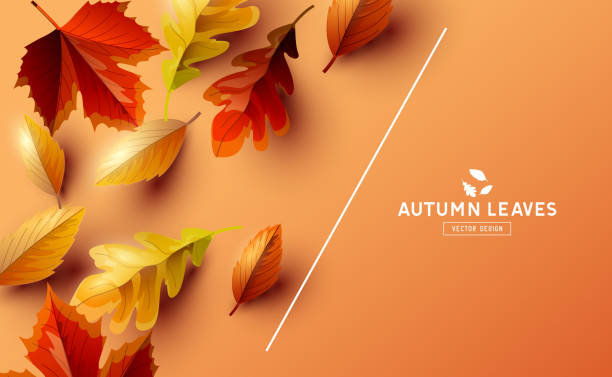 vektor-hintergrund mit herbst fallen lässt - leaf autumn falling tree stock-grafiken, -clipart, -cartoons und -symbole