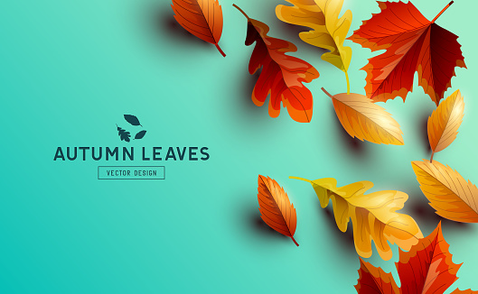 Autumn seasonal background design with falling autumn leaves and room for text. Vector illustration