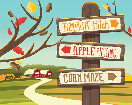 Vector illustration of a Autumn Pumpkin Patch, Apple Picking and corn maze wooden signpost. Fall landscape background. Easy to edit with layers.