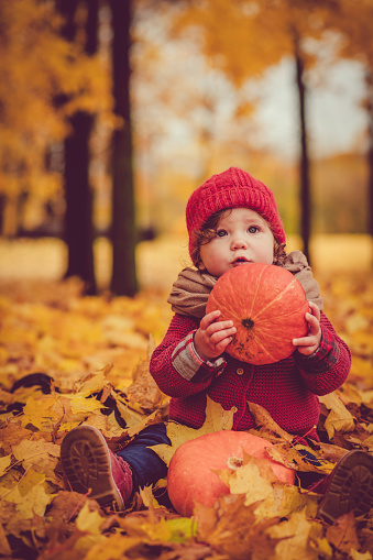 Happy child sitting in autumn leaves in park