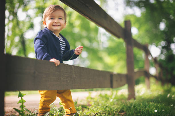 mignon petit garçon fait ses premiers pas - baby first steps autumn child photos et images de collection