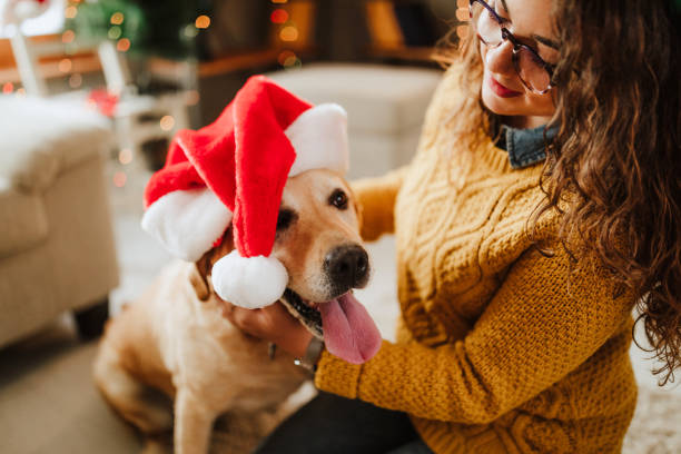 istock It looks pretty on you 1035242144