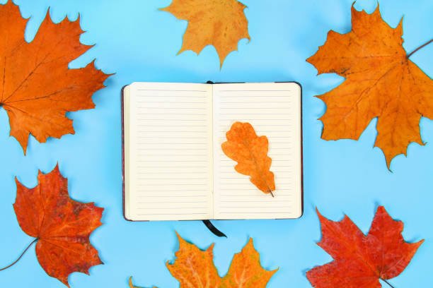 istock Autumn composition: Bright maple leaves on a blue background with a white notepad. Copy space.Flat lay. Top view. 1035242310