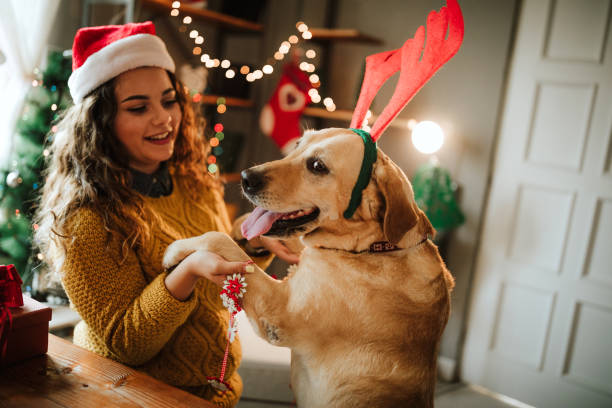 istock Gift for my puppy 1035253238