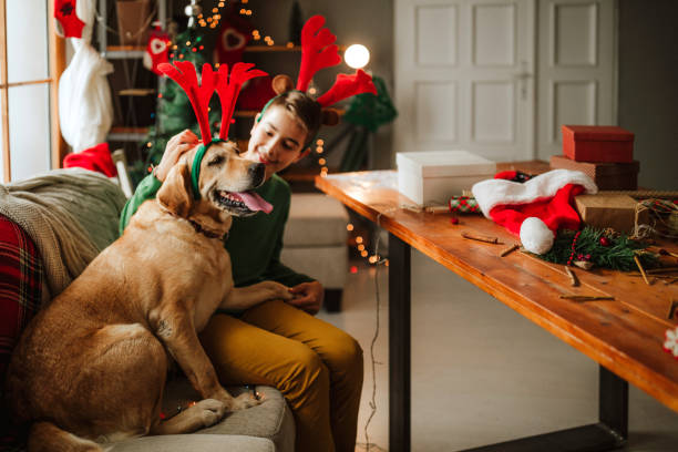 istock Kid waiting for Santa with dog 1035253392