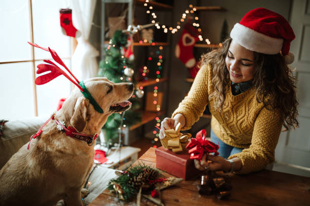 istock Gift for my puppy 1035256126