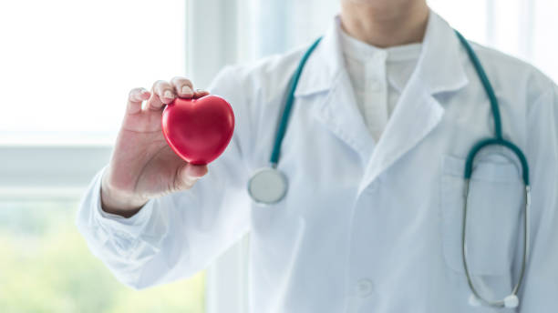 cardiovascular disease doctor or cardiologist holding red heart in clinic or hospital exam room office for professional medical and cardiology health care service and world heart health day concept - nurse illness doctor heart disease imagens e fotografias de stock